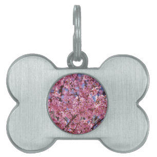 Médaillons Pour Animaux Domestiques Sakura Pink Cherry Blossom Sky