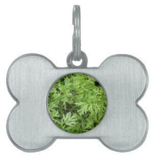 Médaillons Pour Animaux Domestiques Tag de animal de compagnie carotte Tops