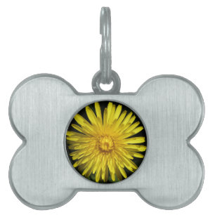 Médaillons Pour Animaux Domestiques Tag de animal de compagnie Dandelion