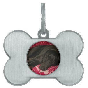 Médaillons Pour Animaux Domestiques Tag de chien endormi
