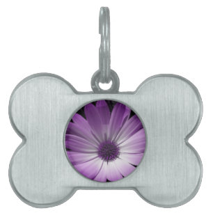Médaillons Pour Animaux Domestiques Tag de marionnette à fleur pourpre