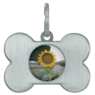 Médaillons Pour Animaux Domestiques Tournesol