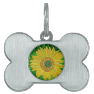 Médaillons Pour Animaux Domestiques Tournesol