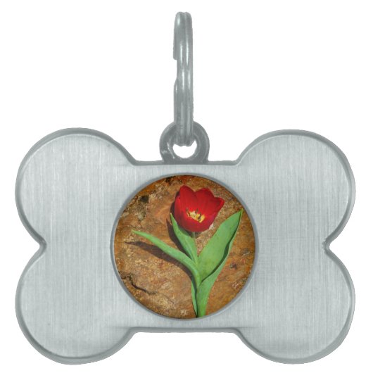 Médaillons Pour Animaux Domestiques Tulipe jaune et rouge (Devant)