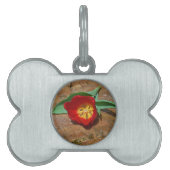 Médaillons Pour Animaux Domestiques Tulipe rouge du printemps (Devant)