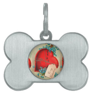 Médaillons Pour Animaux Domestiques Vintage Big Red