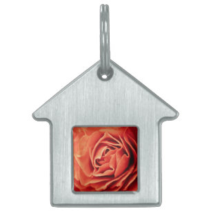 Médaillons Pour Animaux Domestiques vivant rose