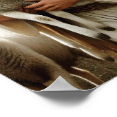 Medelevende herder met zachte kudde poster (Hoek)