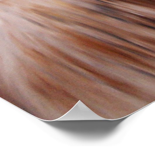 medeplichtigen poster (Hoek)