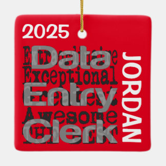Medewerker voor gegevensinvoer Buitengewoon AANGEP Keramisch Ornament