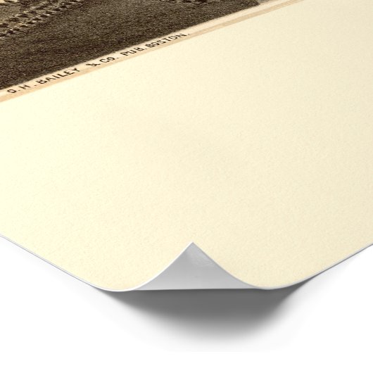 Medford, MA Panoramic Map - 1880 Poster (Hoek)