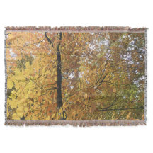 Medi oktober bomen 2 Gooi