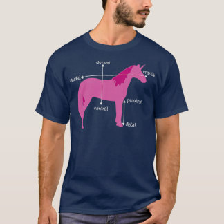 Medical Dimensions Explained On A Unicorn T-shirt