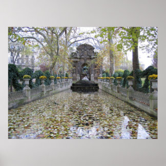 Medici FOuntain Poster