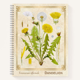  medicinale kruid Dandelion Bloem Botanisch Notitieboek