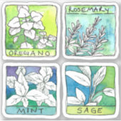 Medicinale kruiden Rosemary Sage Jar Label Sticker (Voorkant)