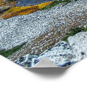 Medicine Bow National Forest Poster (Hoek)