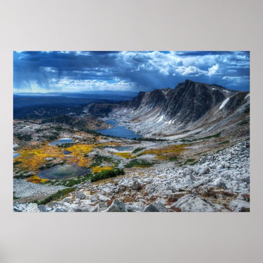 Medicine Bow National Forest Poster (Voorkant)