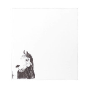 Medicine Hat Paint Horse Notitieblok