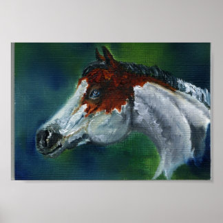 Medicine Pet Pinto Horse Poster