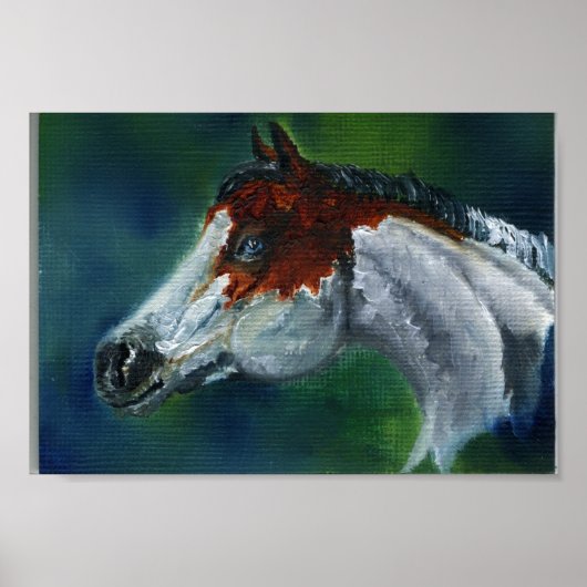 Medicine Pet Pinto Horse Poster (Voorkant)