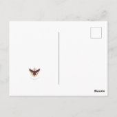 Medicine Wheel Briefkaart (Achterkant)