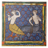 MEDIEVAL BESTIAIR, HARPY EN CENTAUR Mythogisch Tegeltje (Voorkant)
