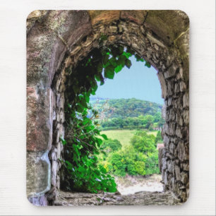 Medieval Chepstow Castle Monmouthshire, Wales, Ver Muismat