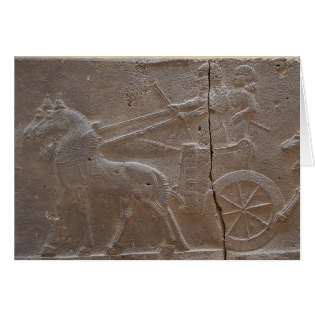 Medieval Combat (Voorkant Horizontaal)