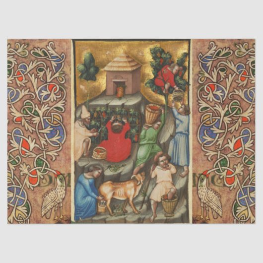 MEDIEVAL GRAPE VINEYARD HARVEST Antiek Grapevine Tissuepapier (Voorkant)