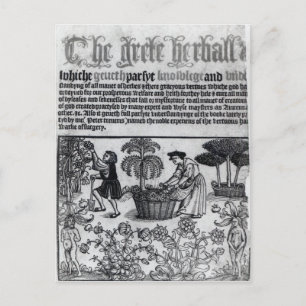 Medieval Herb Garden Briefkaart