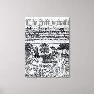 Medieval Herb Garden Canvas Afdruk