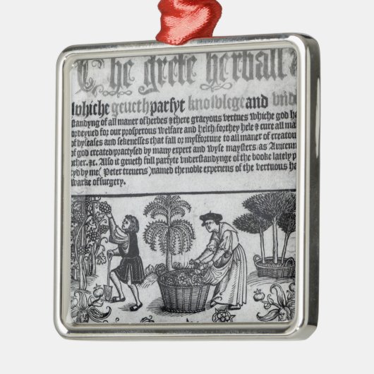 Medieval Herb Garden Metalen Ornament (Links)