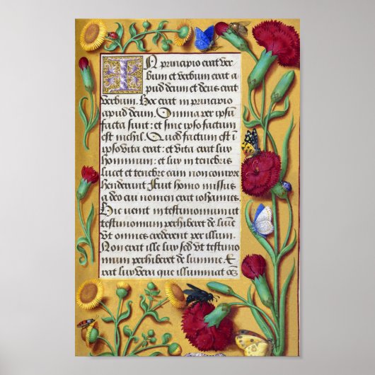 Medieval Illuminated Manuscript Gospel St. John Poster (Voorkant)