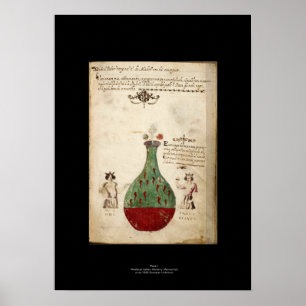 Medieval Italiaans Alchemy Poster Bord 1