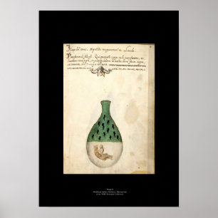 Medieval Italiaans Alchemy Poster Bord 4
