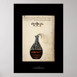 Medieval Italiaans Alchemy Poster Bord 6