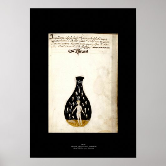 Medieval Italiaans Alchemy Poster Bord 7 (Voorkant)