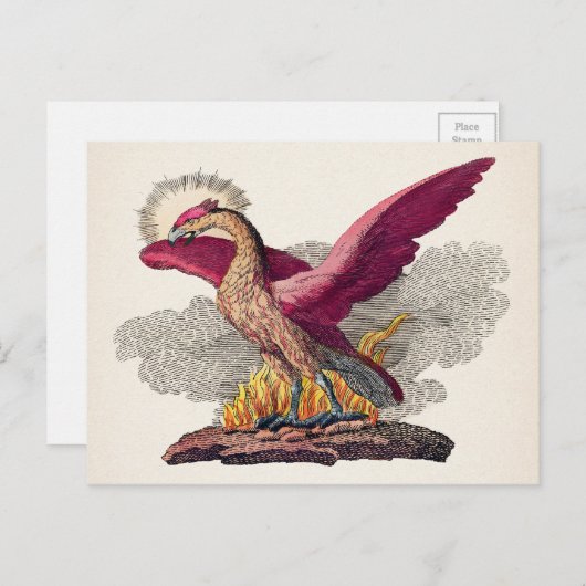  medieval Phoenix Briefkaart (Voorkant / Achterkant)