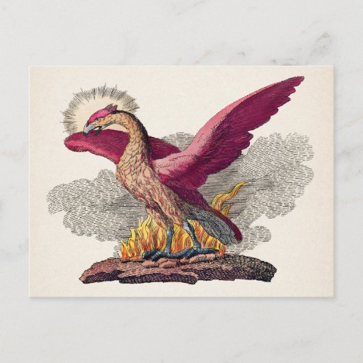  medieval Phoenix Briefkaart (Voorkant)