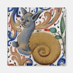 Medieval slak-kattenmagneet magneet