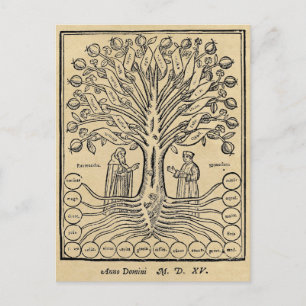 Medieval Tree of the Sciences Sepia Briefkaart