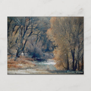 medio december 2010 heek in Prescott, Arizona Briefkaart