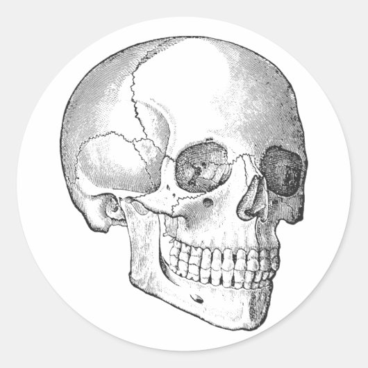 Medisch anatomische  schedel, monochroom ronde sticker (Voorkant)