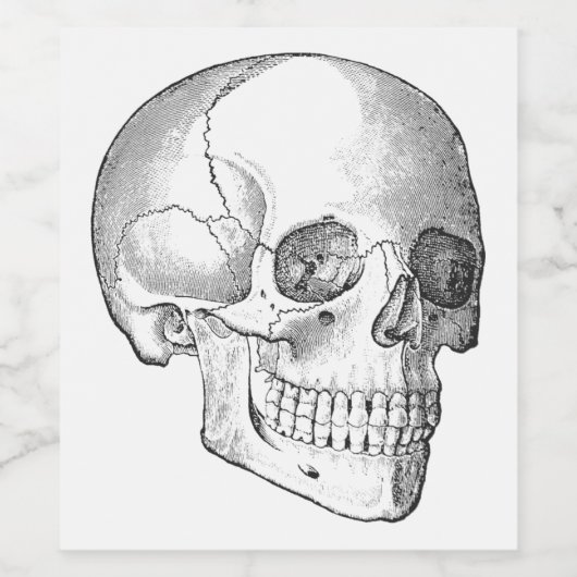 Medisch anatomische  schedel, monochroom wijn etiket (Enkel label)