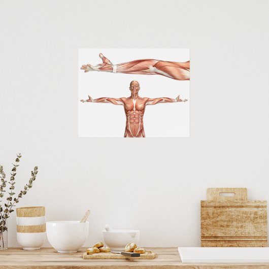 medisch figuur met elleboogsuppressie poster (Keuken)