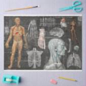  medisch lichaam Gothic Halloween-weefselpapier Tissuepapier (Craft)