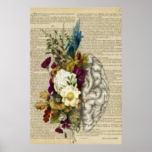 medisch poster voor de anatomie van de hersenen