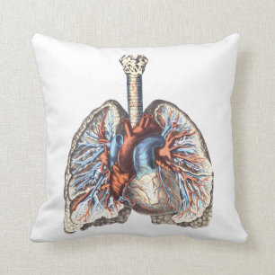 medische anatomie Anatomical Lungs Kussen