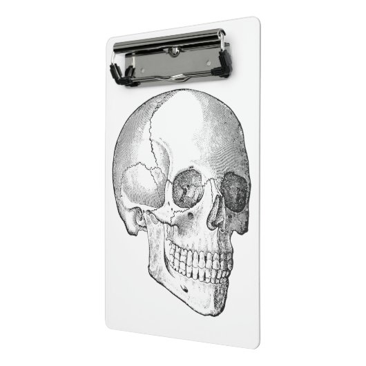 Medische anatomie schedel arts tekening mini klembord (Angled2)